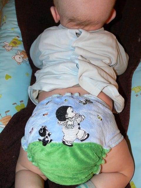 Couche Lavable TE2 Pierrot