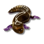 gecko en résine