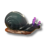 escargot en résine époxy