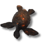 tortue en Résine