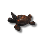 tortue en Résine