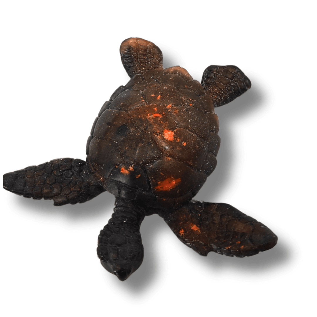 tortue en Résine